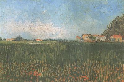 Vincent Van Gogh Farmhouses in a Wheat Field near Arles (nn04)